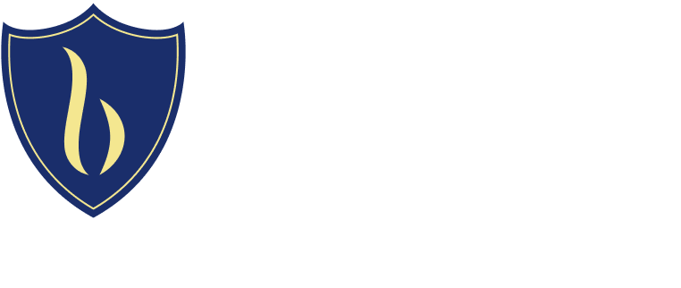 Bulwark Health Logo and Tagline